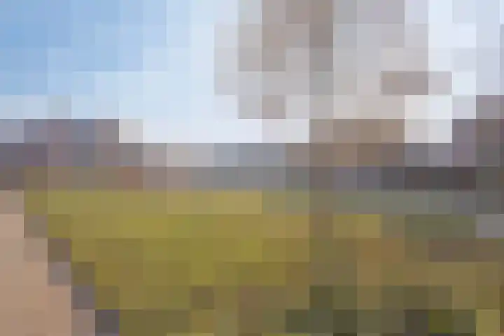 Spui 14 Heerhugowaard thumbnail 33
