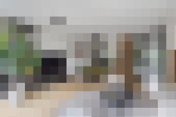 Spui 19 Huizen thumbnail 10
