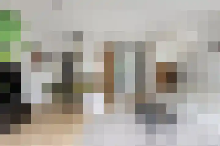 Spui 19 Huizen thumbnail 11
