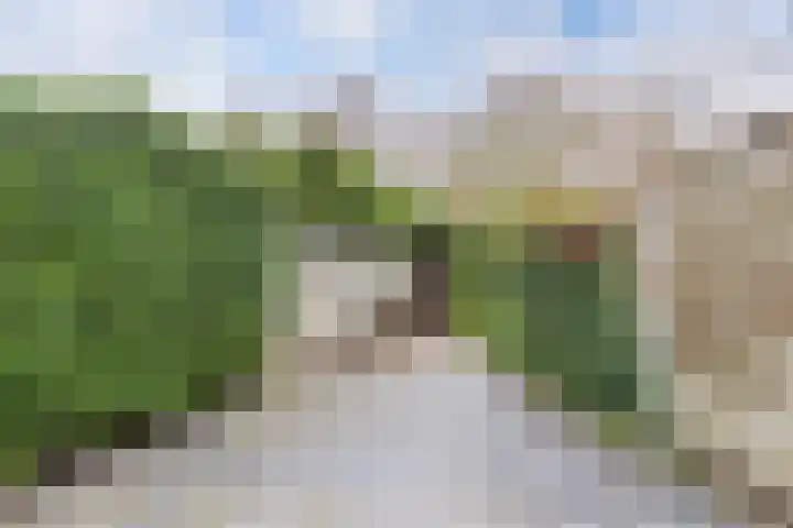 Spui 19 Huizen thumbnail 14