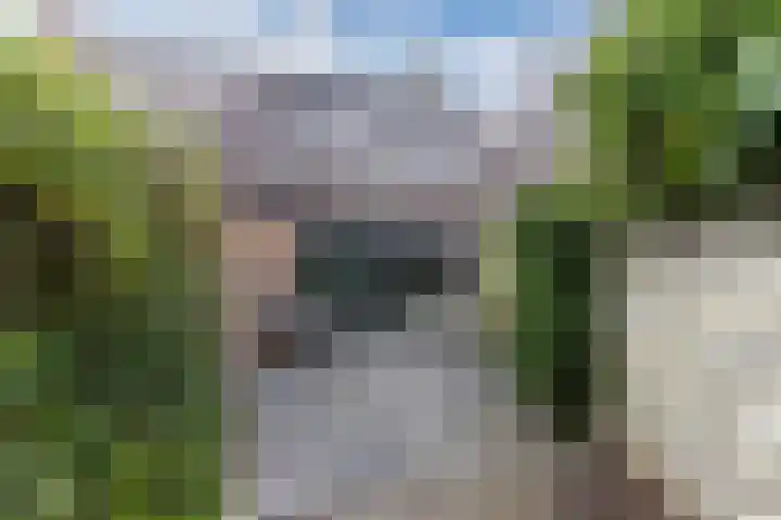 Spui 19 Huizen thumbnail 15