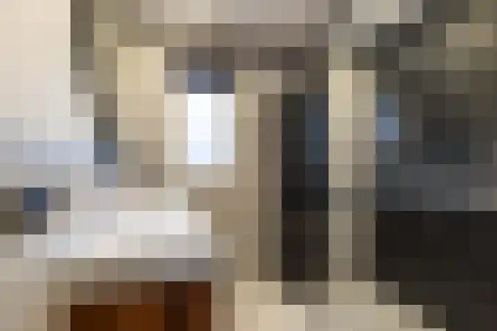 Spui 19 Huizen thumbnail 20