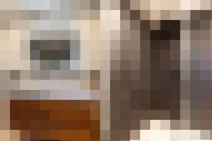 Spui 19 Huizen thumbnail 21