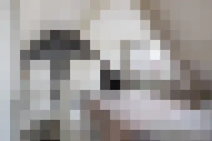 Spui 19 Huizen thumbnail 25