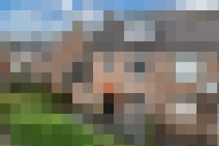 Spui 19 Huizen thumbnail 4