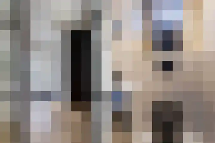 Spui 19 Huizen thumbnail 6