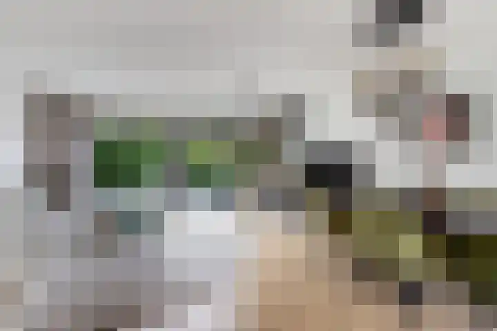 Spui 19 Huizen thumbnail 7
