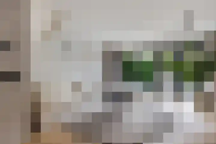 Spui 19 Huizen thumbnail 8