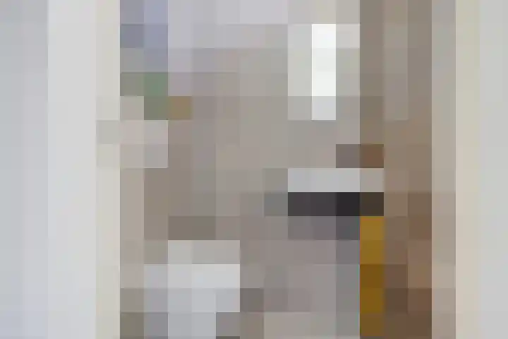 Spui 20 Waddinxveen thumbnail 12