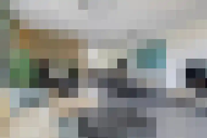 Spui 20 Waddinxveen thumbnail 15