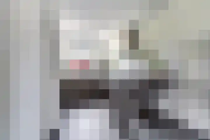 Spui 20 Waddinxveen thumbnail 18