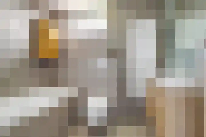 Spui 20 Waddinxveen thumbnail 28