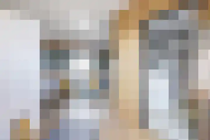 Spui 20 Waddinxveen thumbnail 36