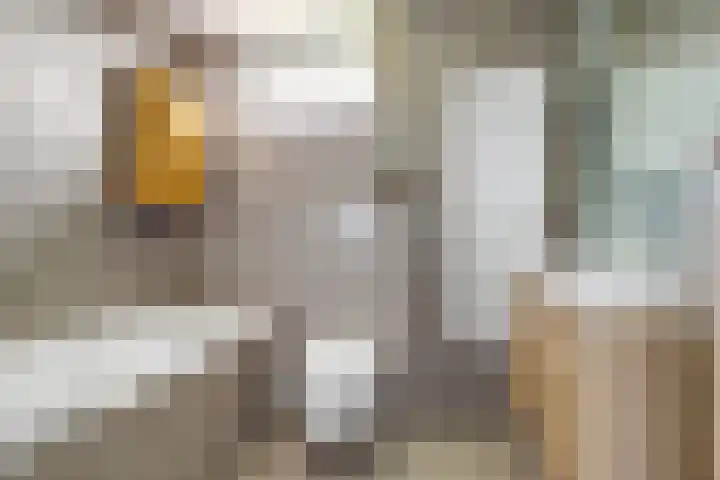 Spui 20 Waddinxveen thumbnail 4