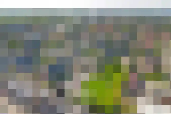 Spui 20 Waddinxveen thumbnail 47