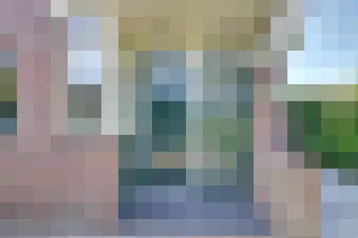 Spui 20 Waddinxveen thumbnail 8