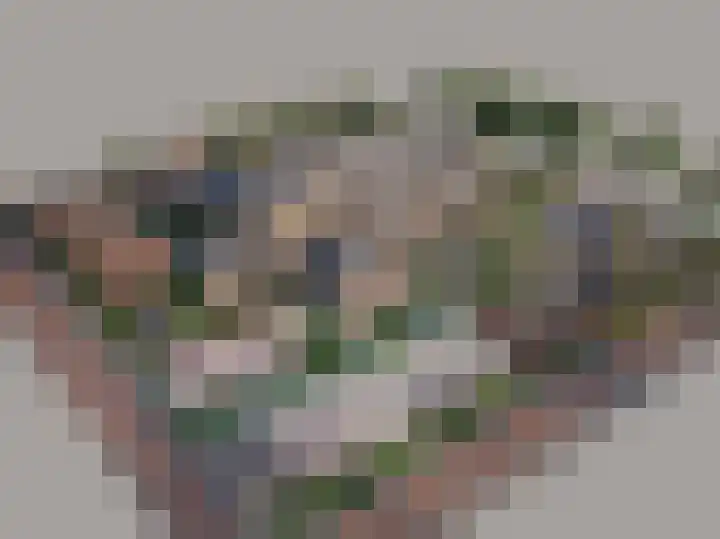 Spui 56 Strijen thumbnail 13