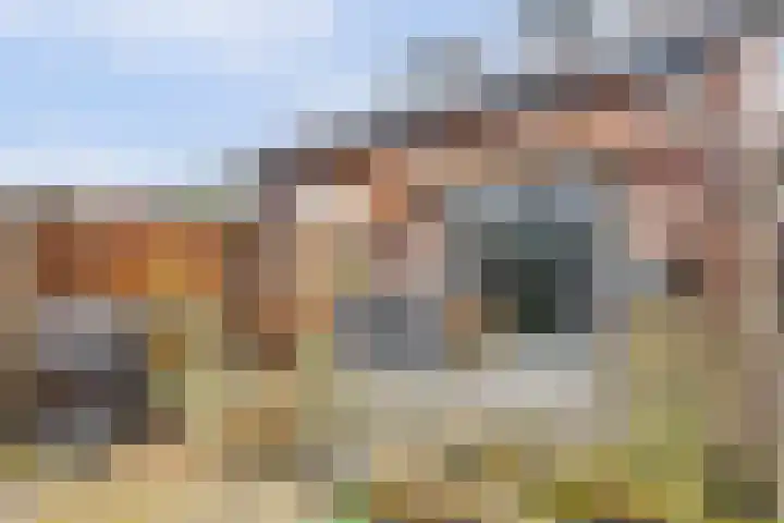 Spui 56 Strijen thumbnail 38