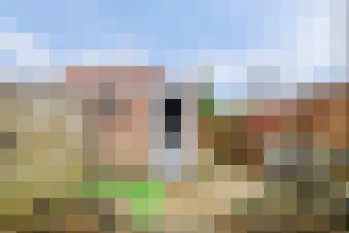 Spui 56 Strijen thumbnail 40