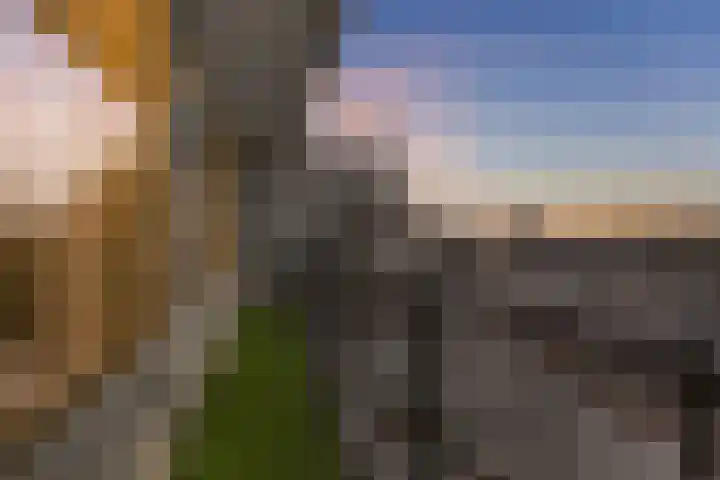 Spui 62 Middelharnis thumbnail 11