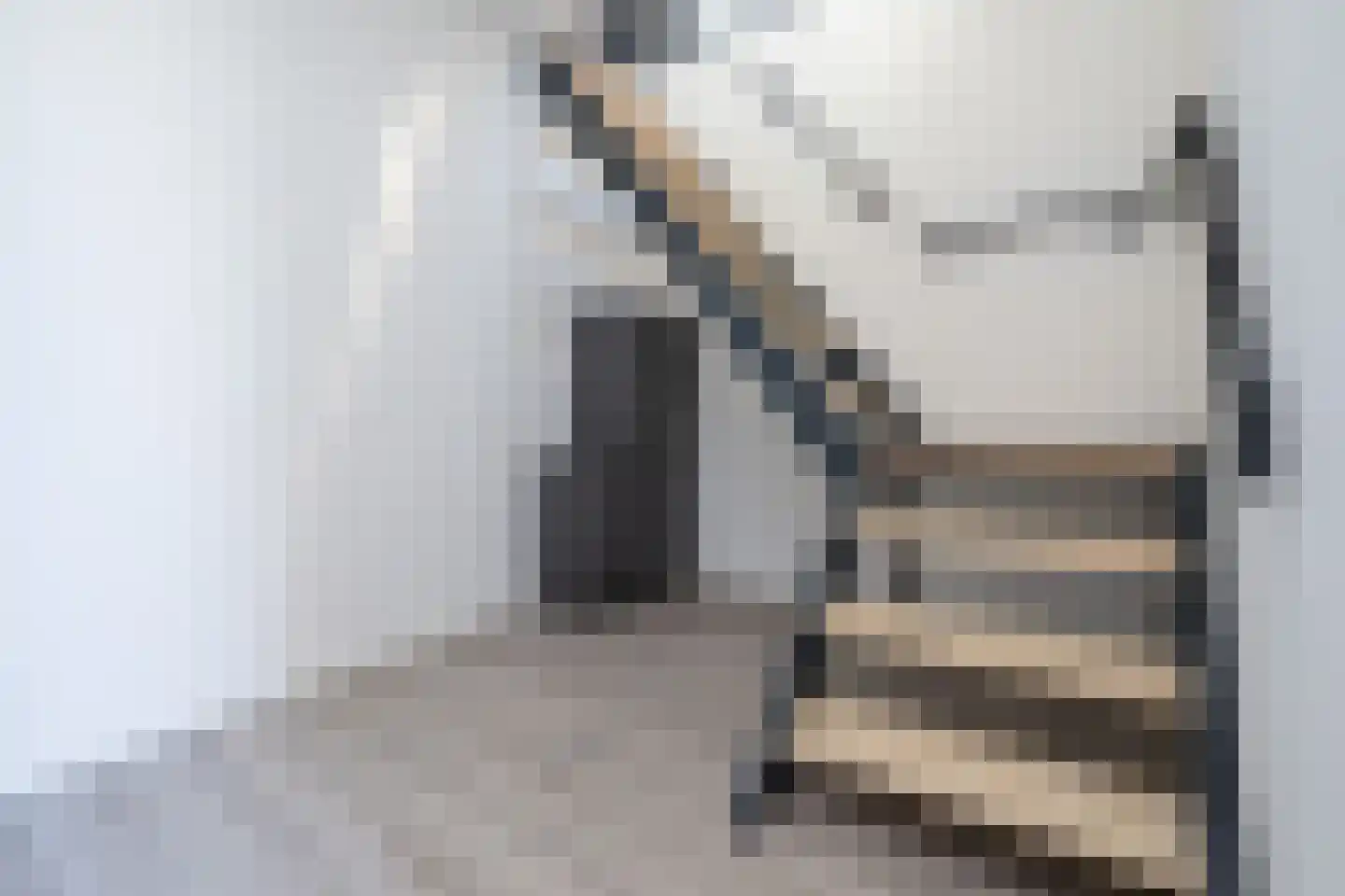 Spui 62 Middelharnis thumbnail 6