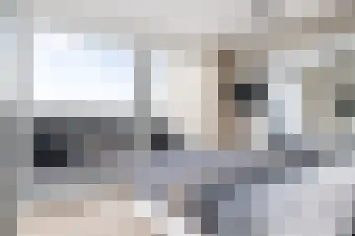 Spuiboulevard 48 Dordrecht thumbnail 30