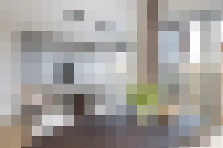 Spuiboulevard 48 Dordrecht thumbnail 5