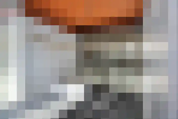 Spuiboulevard 48 Dordrecht thumbnail 8