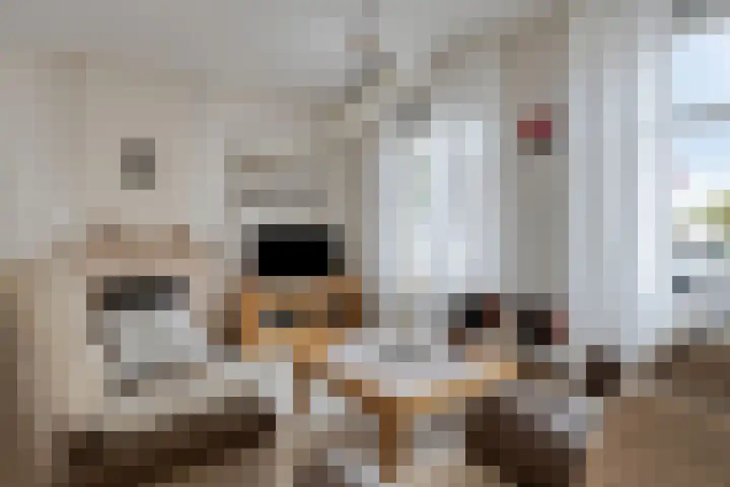 Spuidamstraat 3 Scherpenisse thumbnail 10