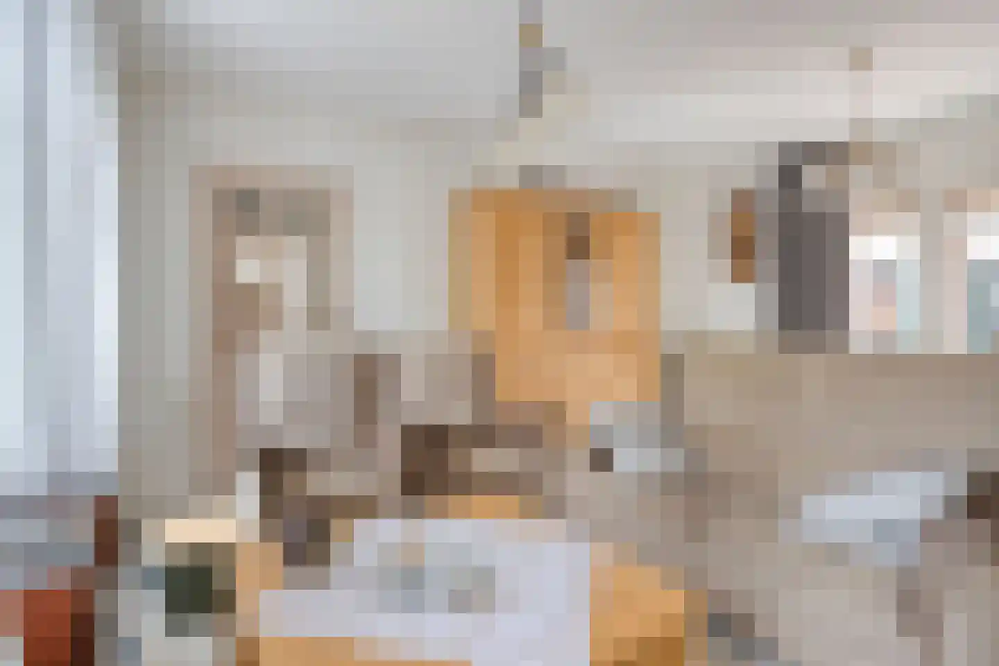 Spuidamstraat 3 Scherpenisse thumbnail 13