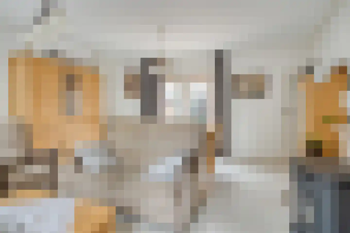 Spuidamstraat 3 Scherpenisse thumbnail 14