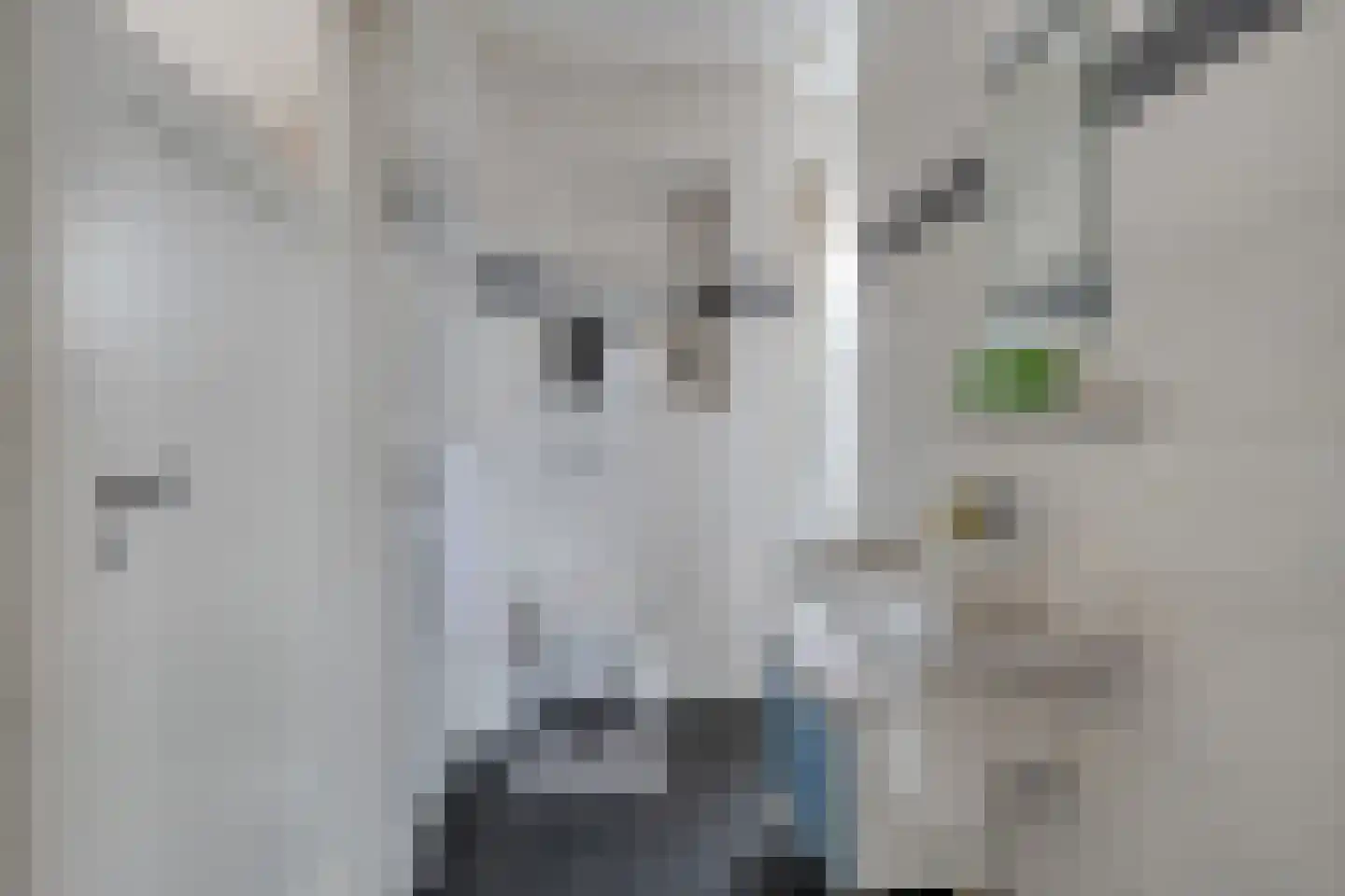 Spuidamstraat 3 Scherpenisse thumbnail 24