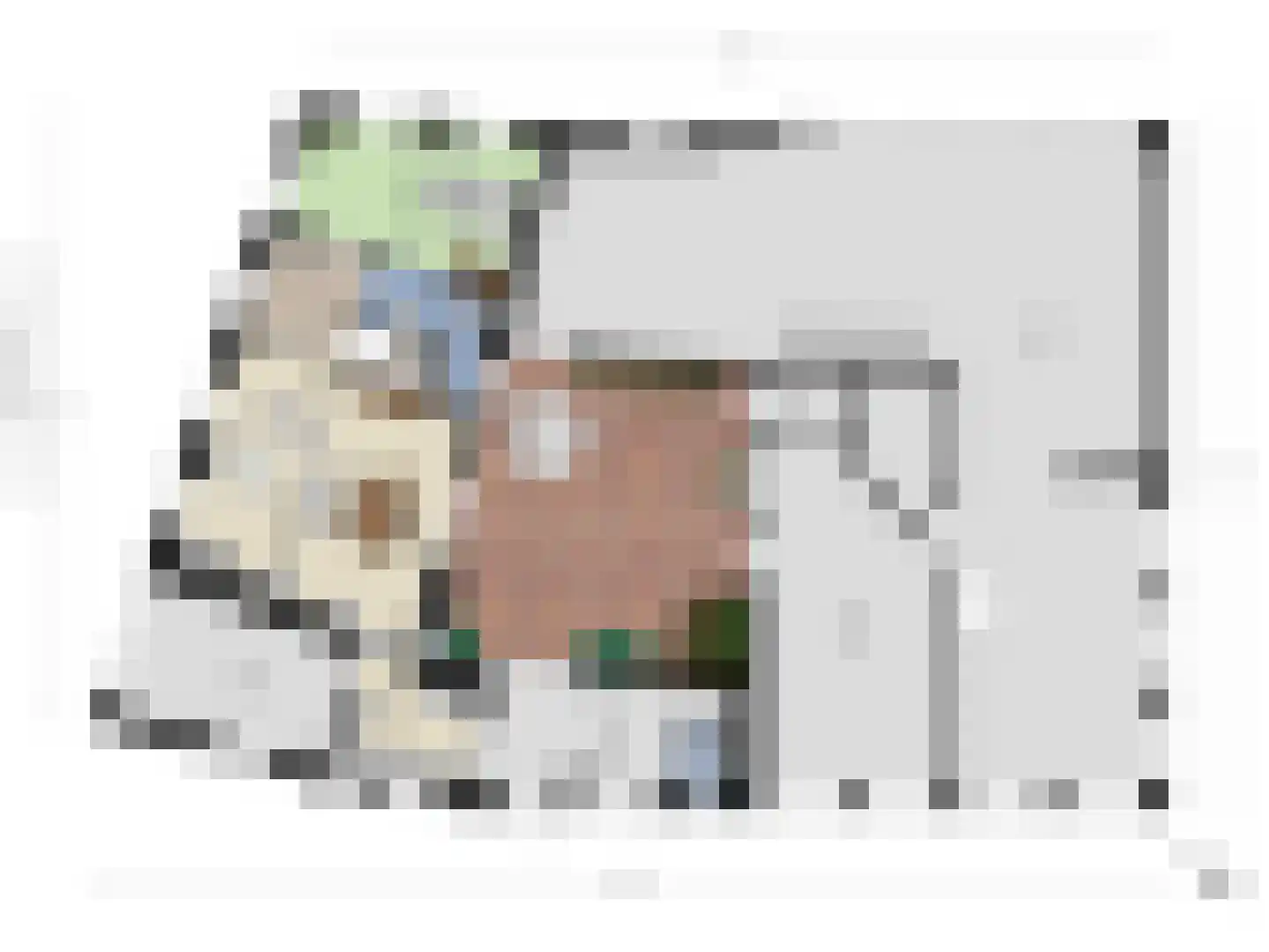 Spuidamstraat 3 Scherpenisse thumbnail 26