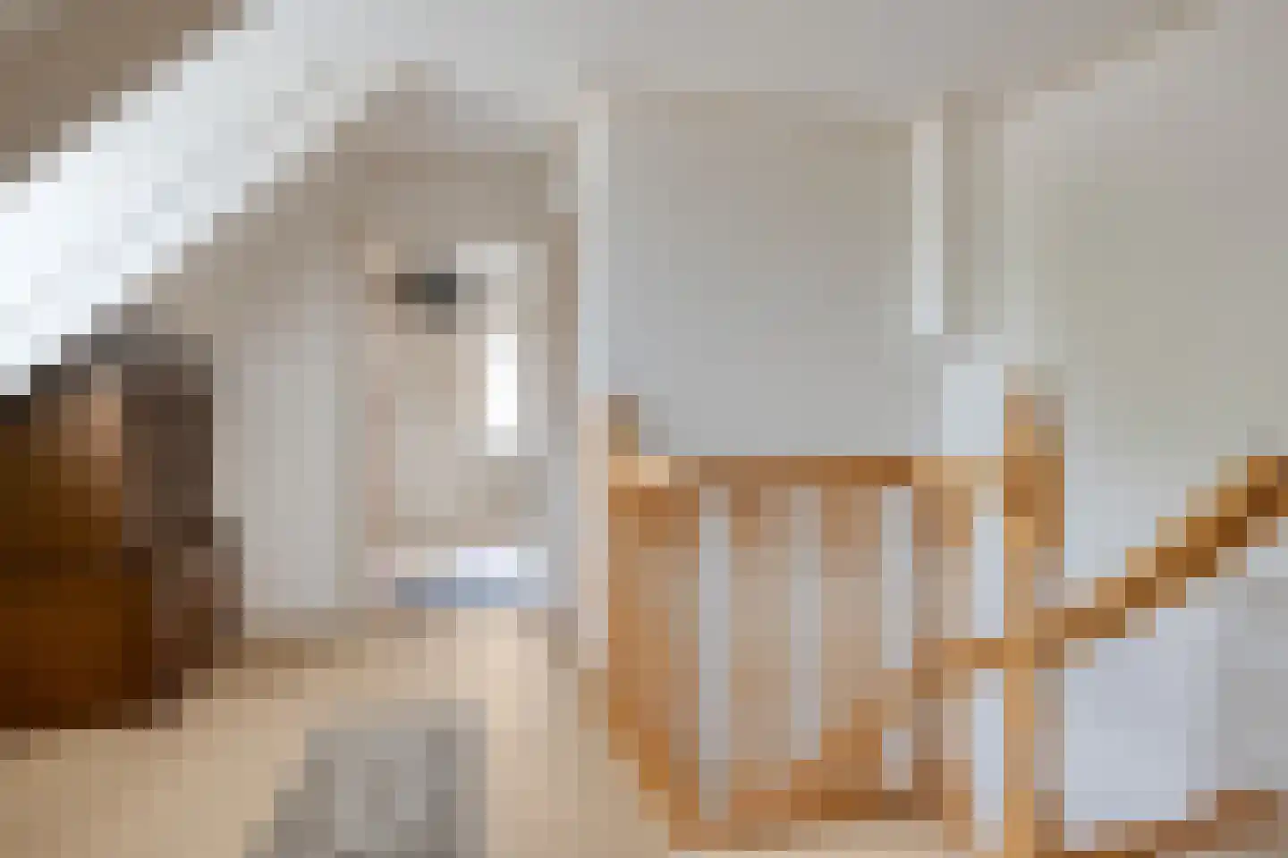 Spuidamstraat 3 Scherpenisse thumbnail 28