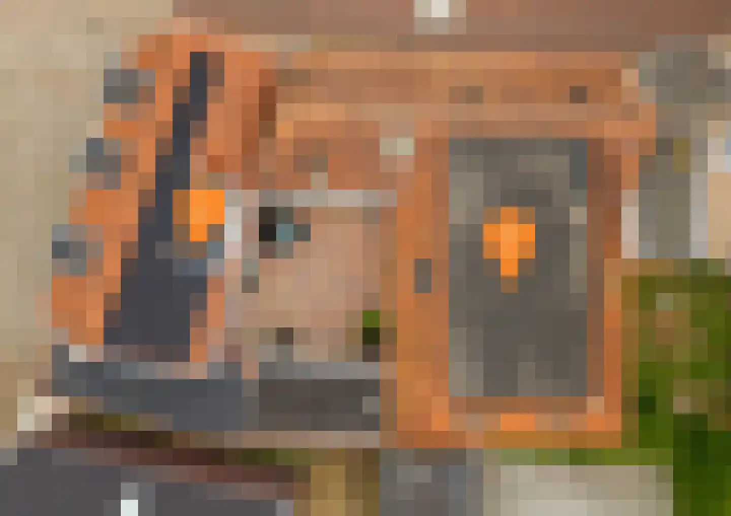 Spuidamstraat 3 Scherpenisse thumbnail 41