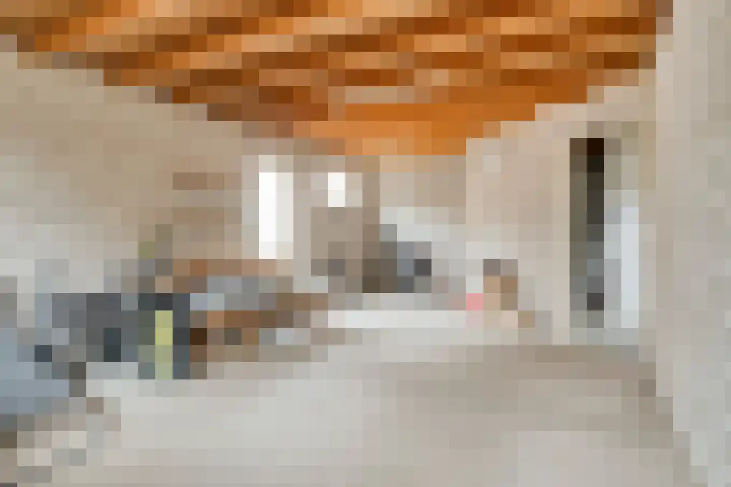 Spuidamstraat 3 Scherpenisse thumbnail 43