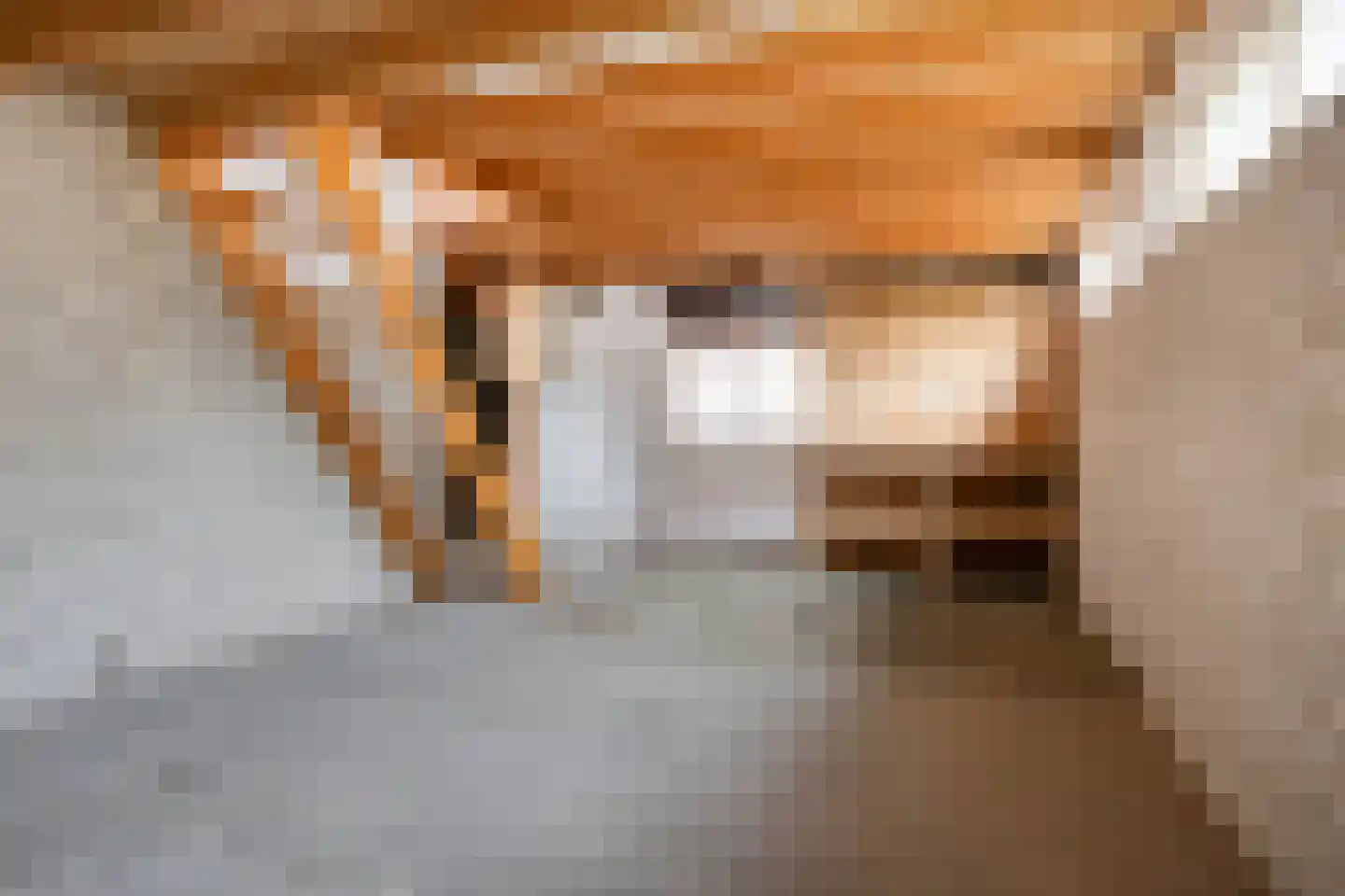 Spuidamstraat 3 Scherpenisse thumbnail 45