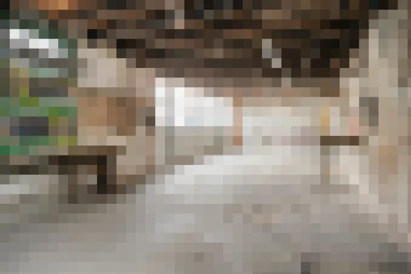 Spuidamstraat 3 Scherpenisse thumbnail 49