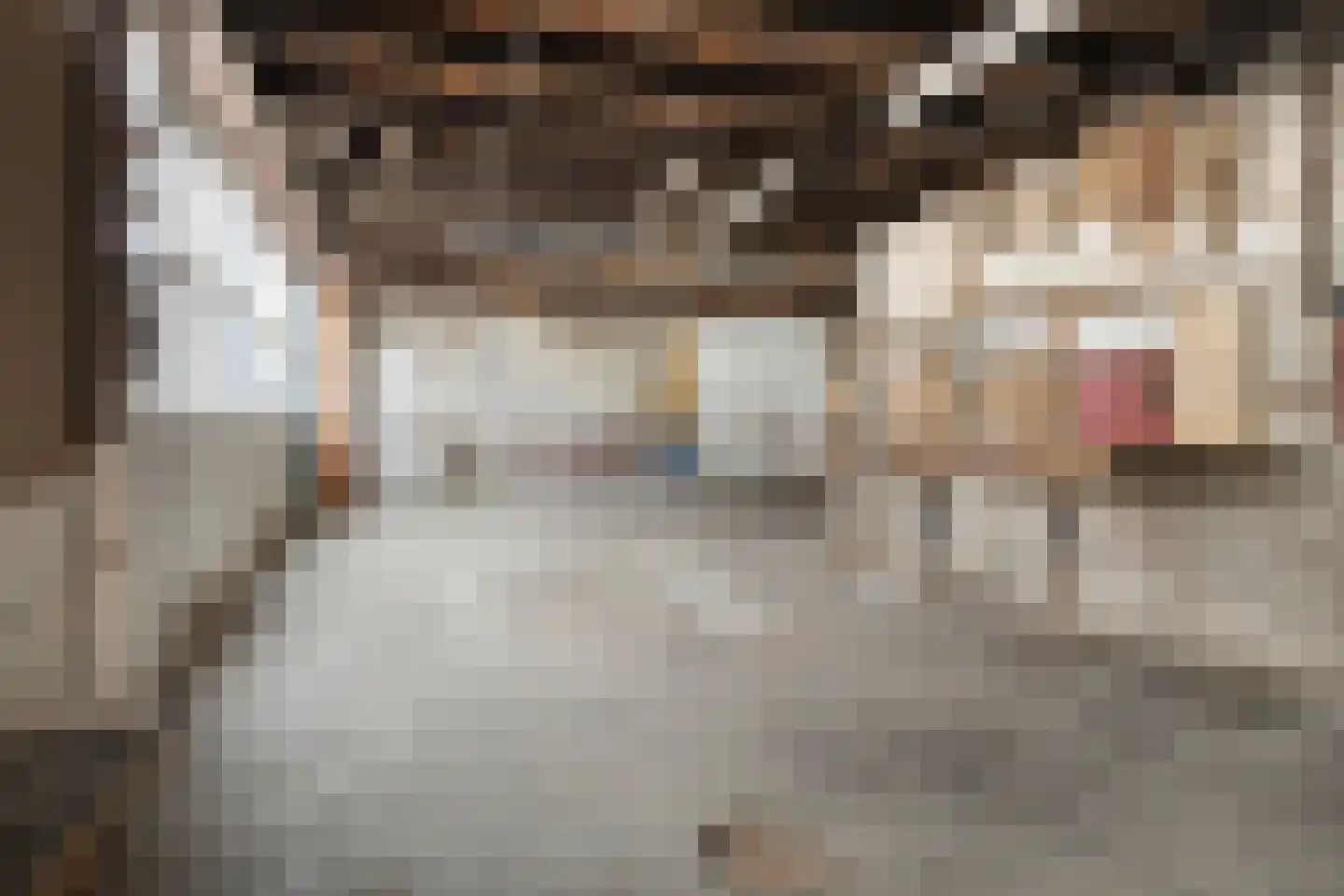 Spuidamstraat 3 Scherpenisse thumbnail 50