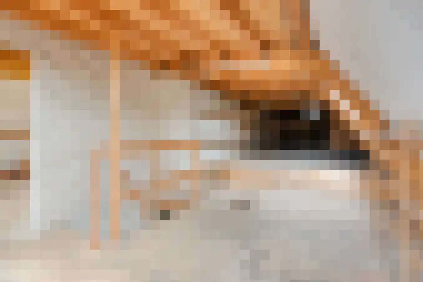 Spuidamstraat 3 Scherpenisse thumbnail 52