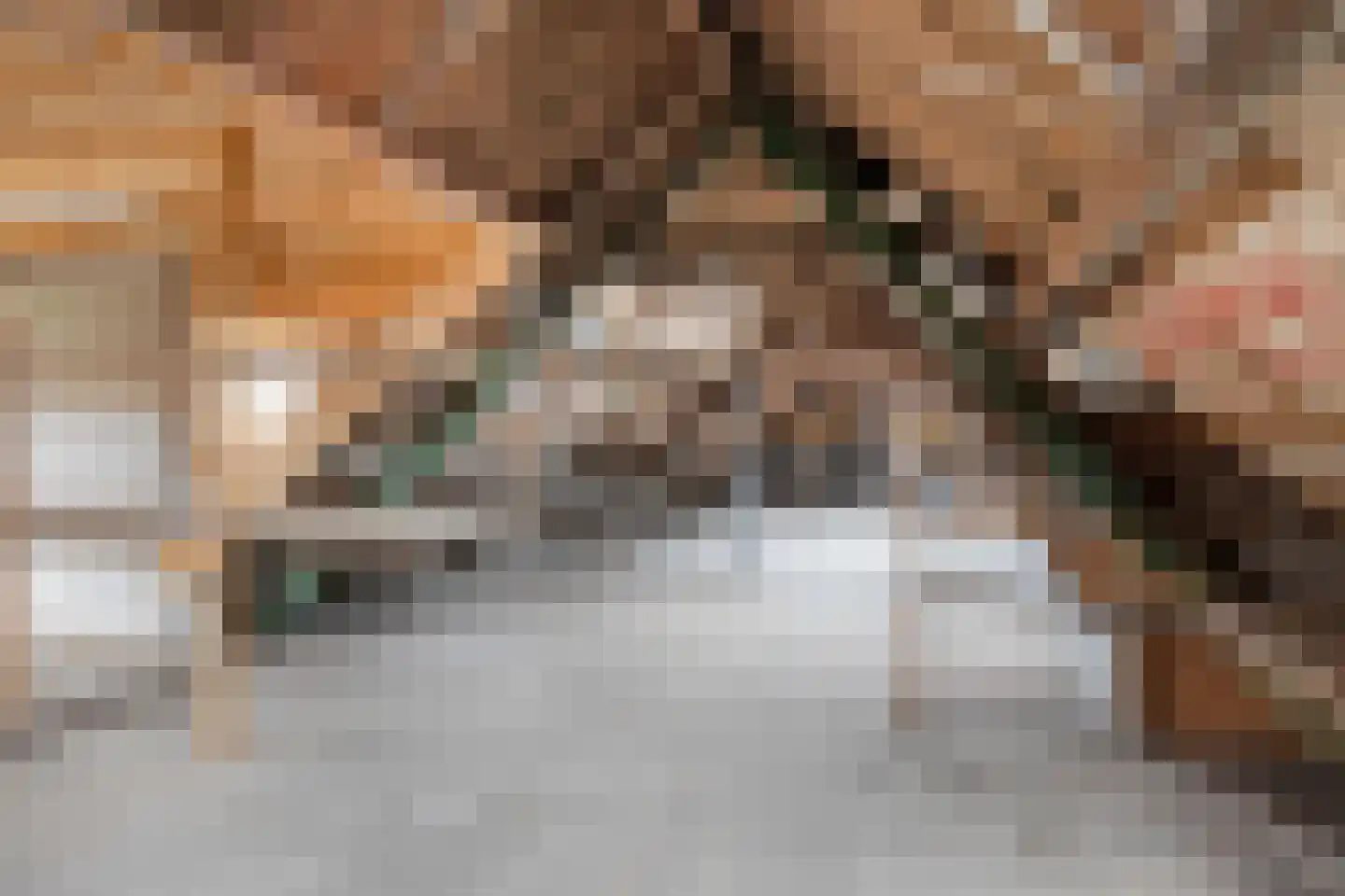 Spuidamstraat 3 Scherpenisse thumbnail 56