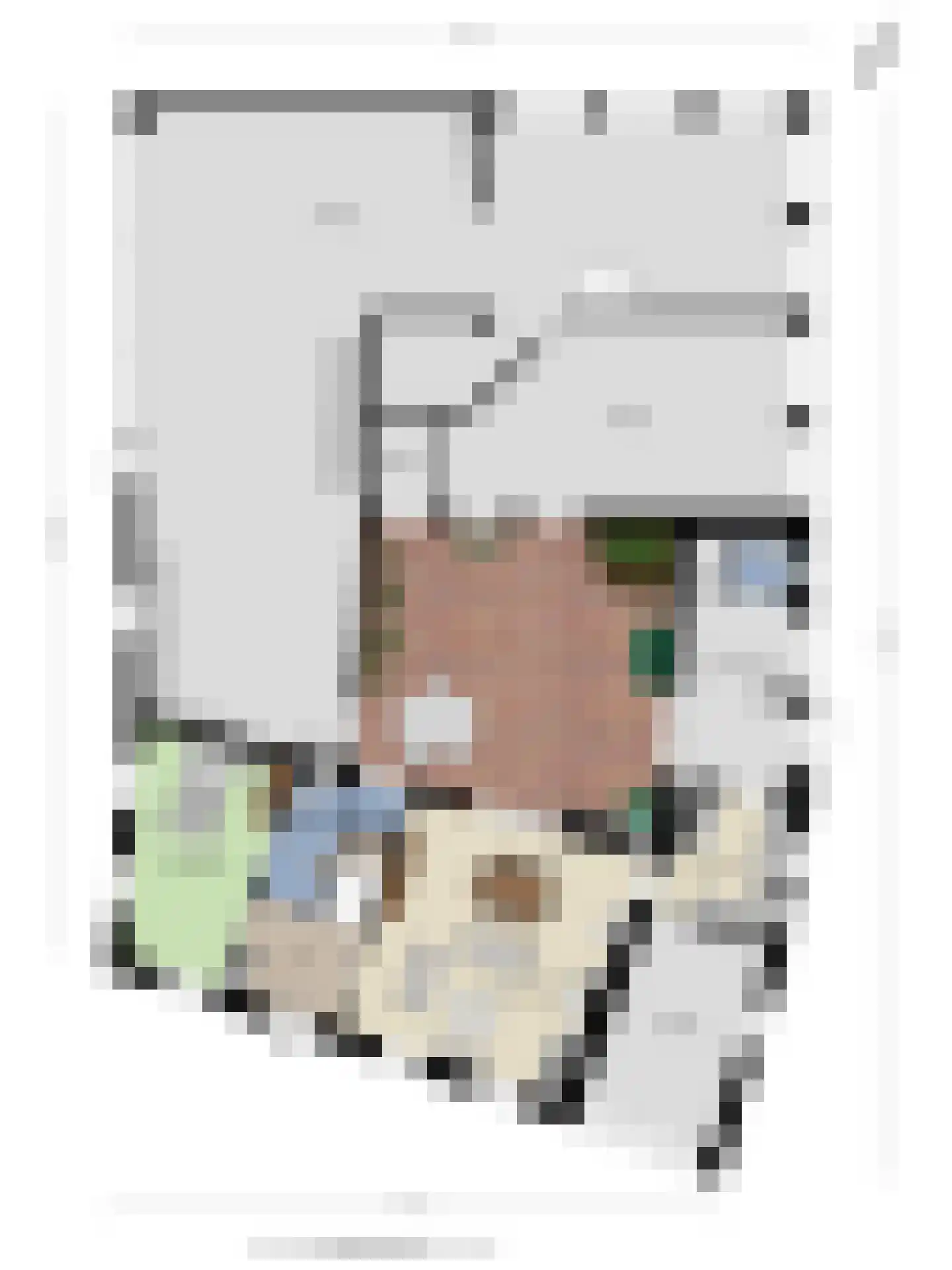 Spuidamstraat 3 Scherpenisse thumbnail 63