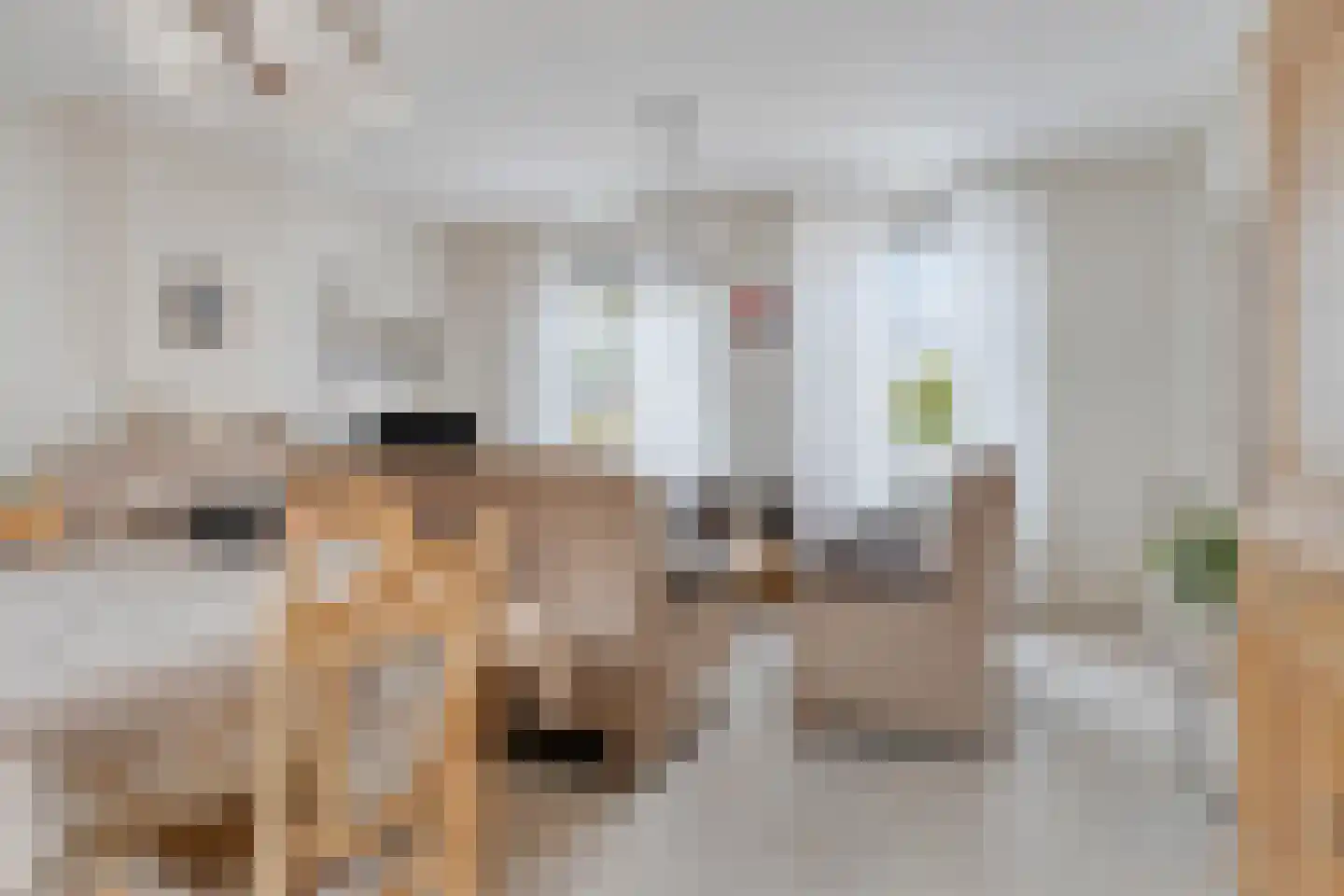 Spuidamstraat 3 Scherpenisse thumbnail 9