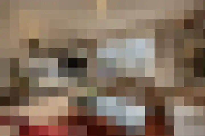 Spuidijk 23 Oud-Beijerland thumbnail 14
