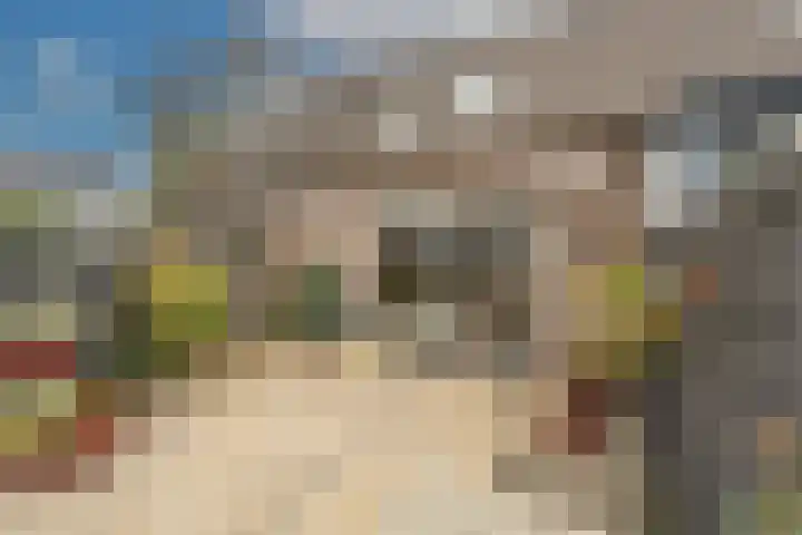 Spuidijk 23 Oud-Beijerland thumbnail 37
