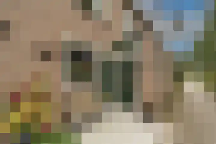 Spuidijk 23 Oud-Beijerland thumbnail 5