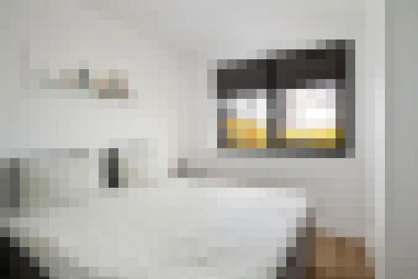 Spuifront 1 C Oud-Beijerland thumbnail 14