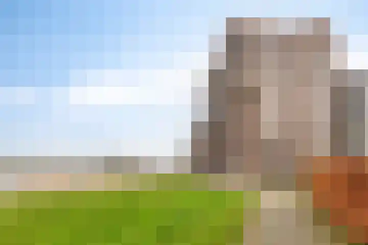 Spuifront 3 D Oud-Beijerland thumbnail 23