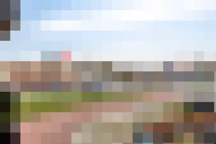 Spuifront 3 D Oud-Beijerland thumbnail 27
