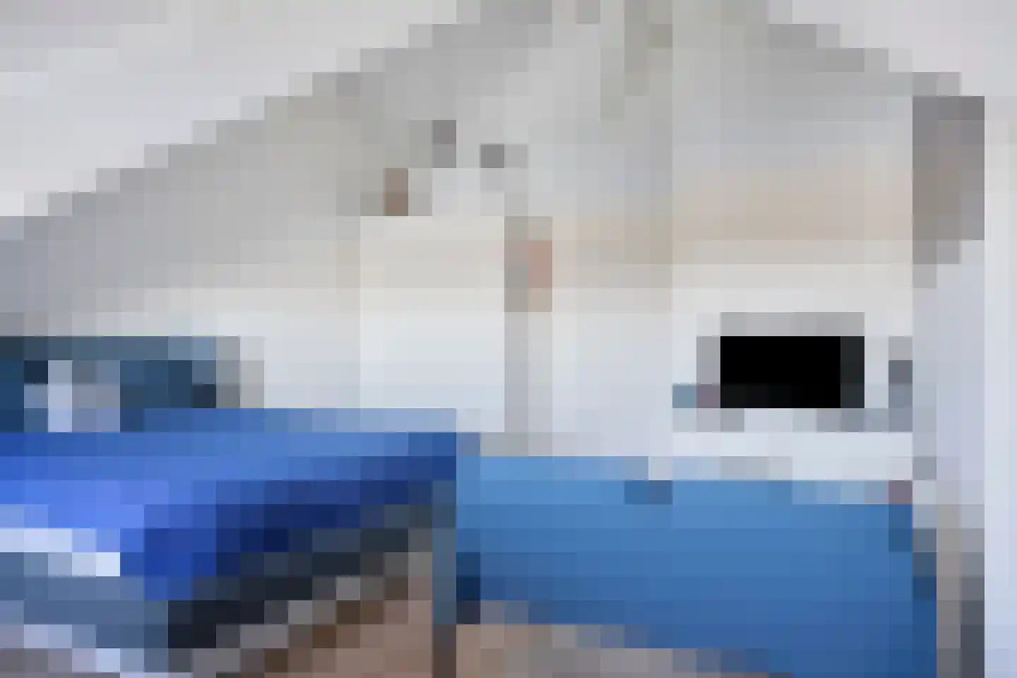 Spuifront 48 Oud-Beijerland thumbnail 45